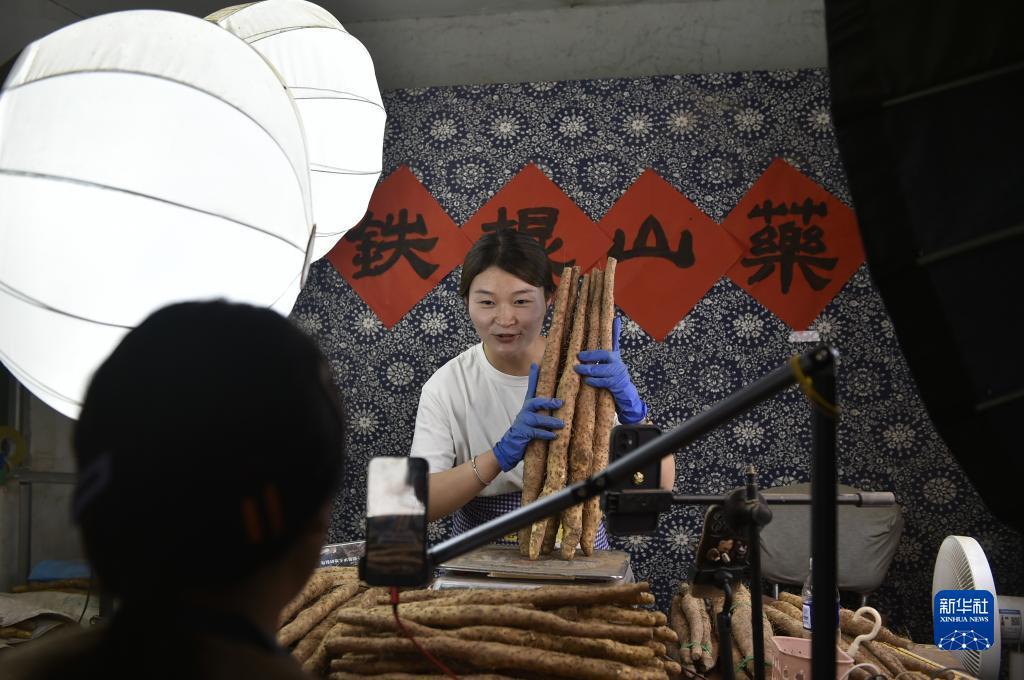 狗博官方网站